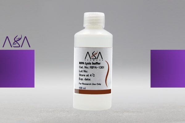 RIPA Lysis buffer - آساژن